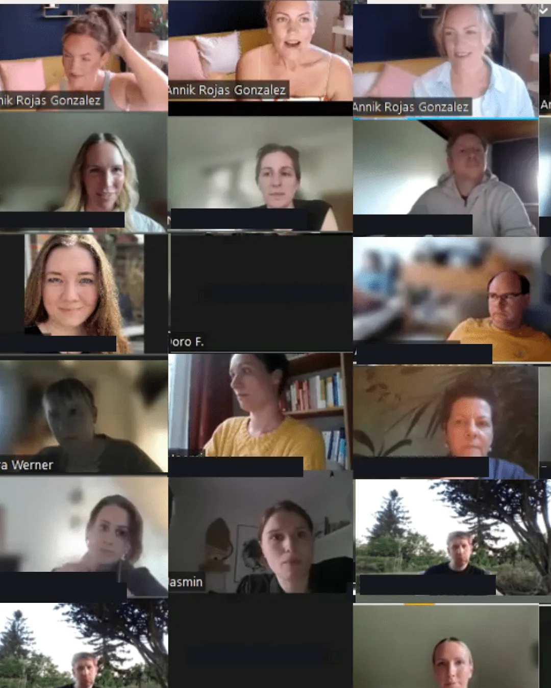 Coaching Gruppe über Zoom